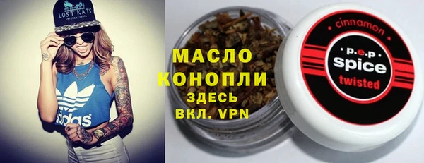 скорость Бородино