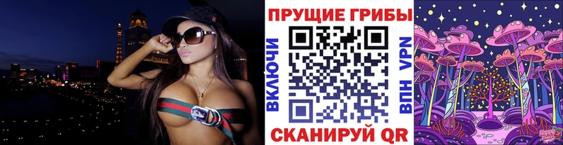 купить   Ярцево  Галлюциногенные грибы Psilocybine cubensis 