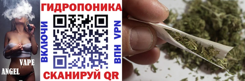 где продают   Ярцево  Каннабис ГИДРОПОН 